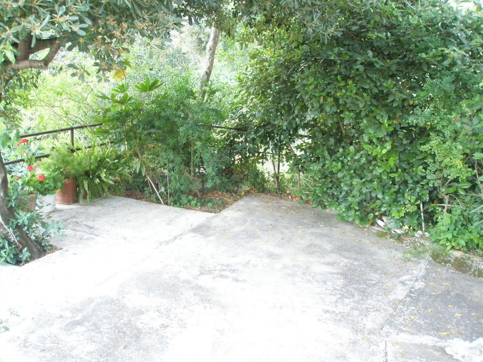 בניטסס Faliraki Apartments מראה חיצוני תמונה